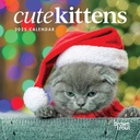 Cute Kittens 2025 Square Calendar