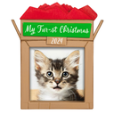 Pets Fur-st Christmas Photo Frame - 2024 Hallmark Keepsake Christmas Ornament