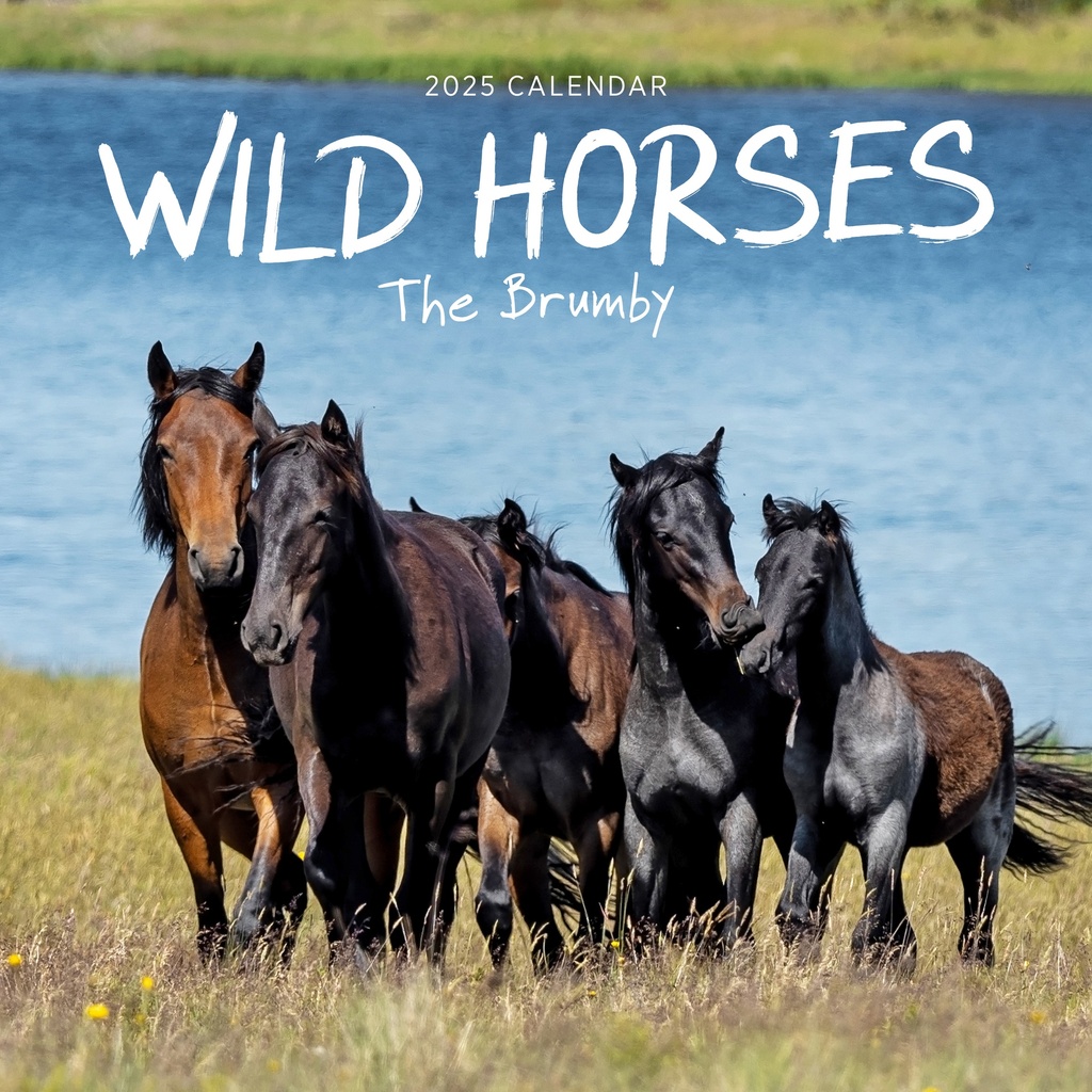 Our Australia - Wild Horses: The Brumby 2025 Calendar
