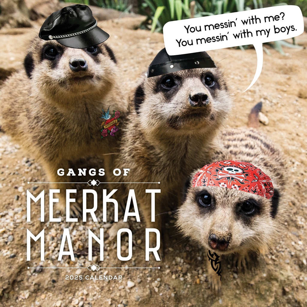 Gangs of Meerkat Manor 2025 Calendar