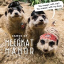 Gangs of Meerkat Manor 2025 Calendar