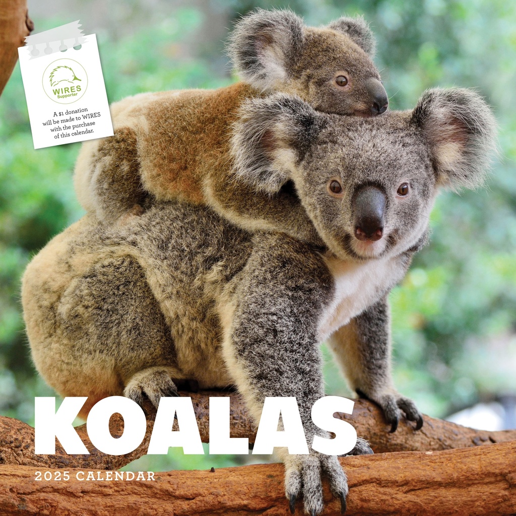 Koalas 2025 Calendar