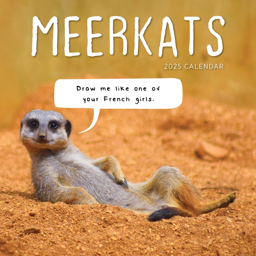 Meerkats 2025 Calendar