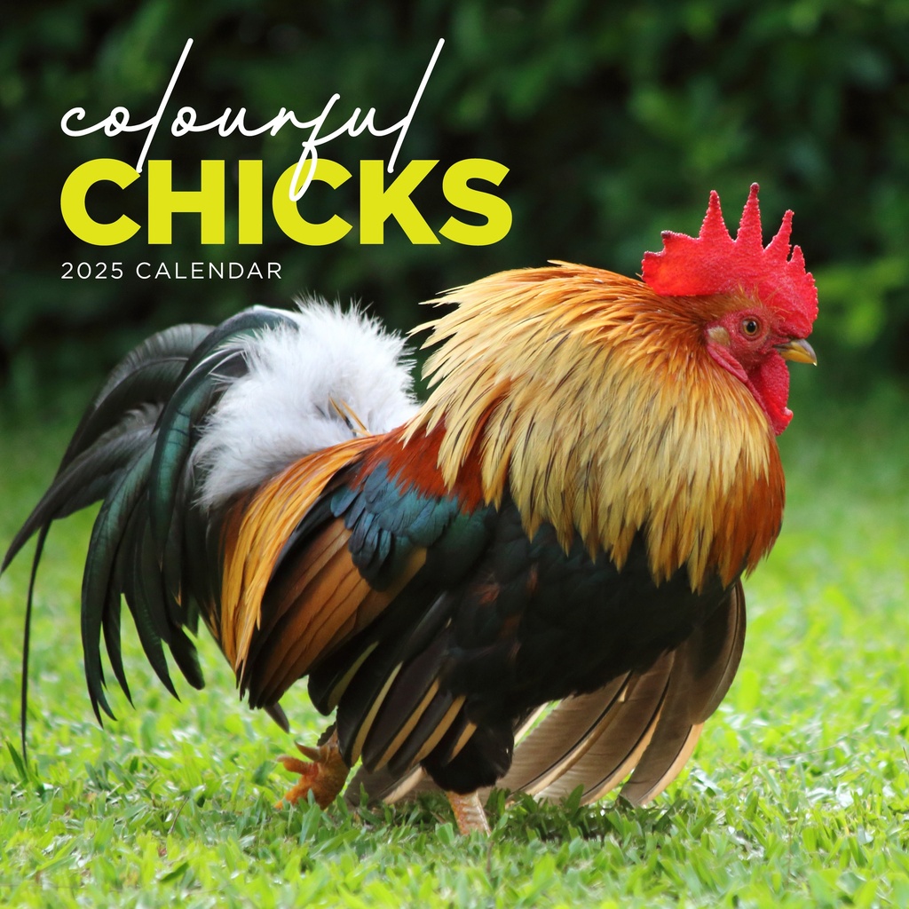 Colourful Chicks 2025 Calendar