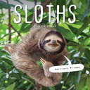 Sloths 2025 Calendar