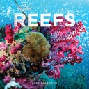 Our Australia - Reefs 2025 Calendar