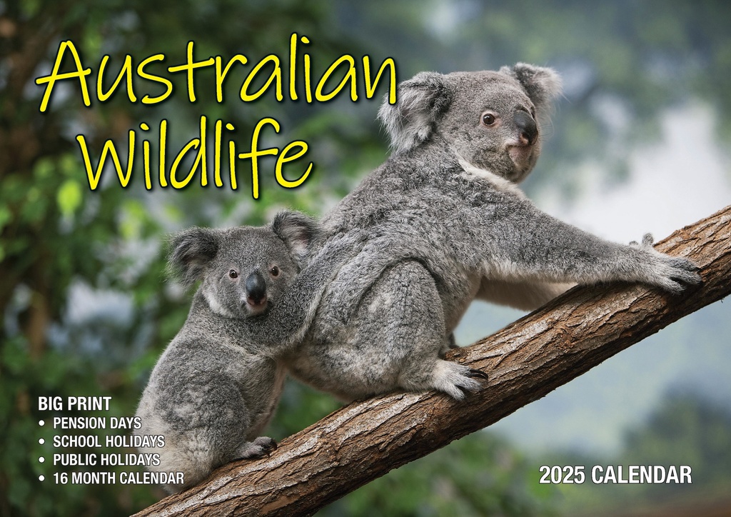 Big Print Australian Wildlife 2025 Calendar