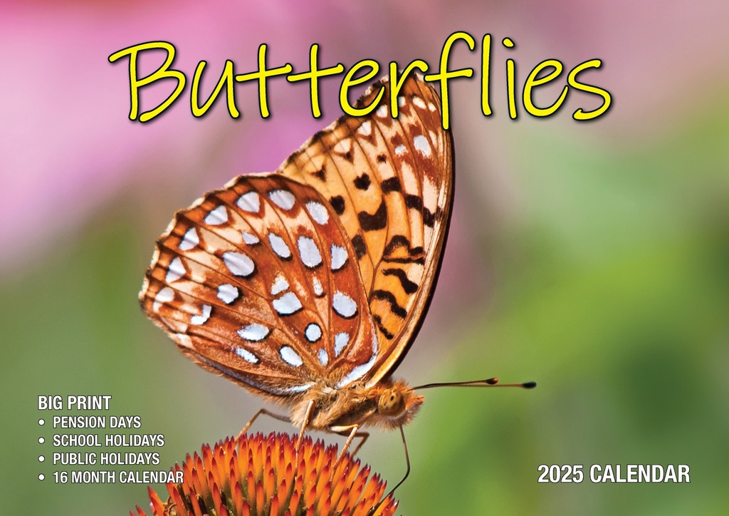 Big Print Butterflies 2025 Calendar