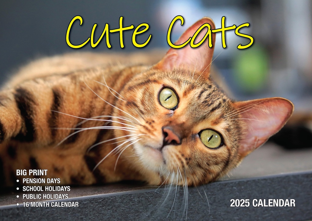 Big Print Cute Cats 2025 Calendar
