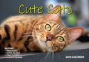 Big Print Cute Cats 2025 Calendar