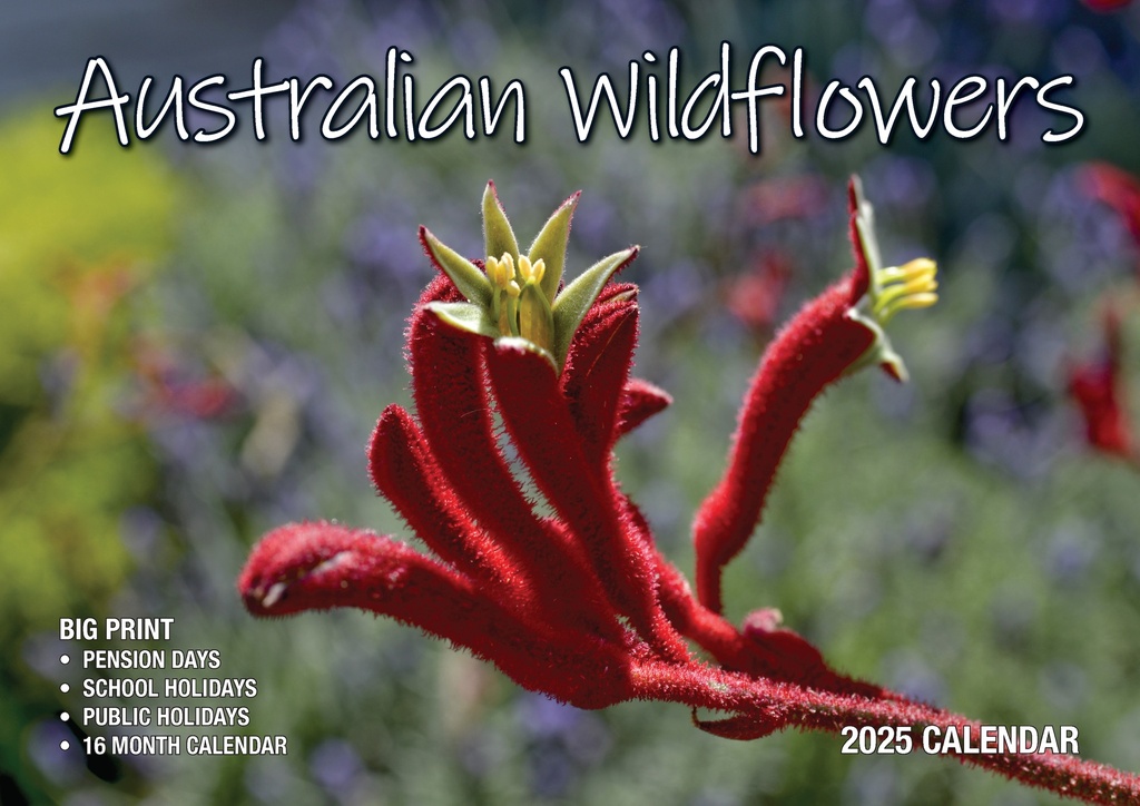 Big Print Australian Wildflowers 2025 Calendar