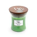 Palm Leaf Medium - WoodWick Candle