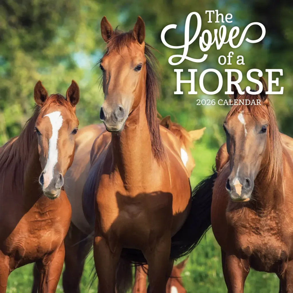 Paper Pocket The Love Of A Horse 2026 Calendar