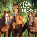 Paper Pocket The Love Of A Horse 2026 Calendar
