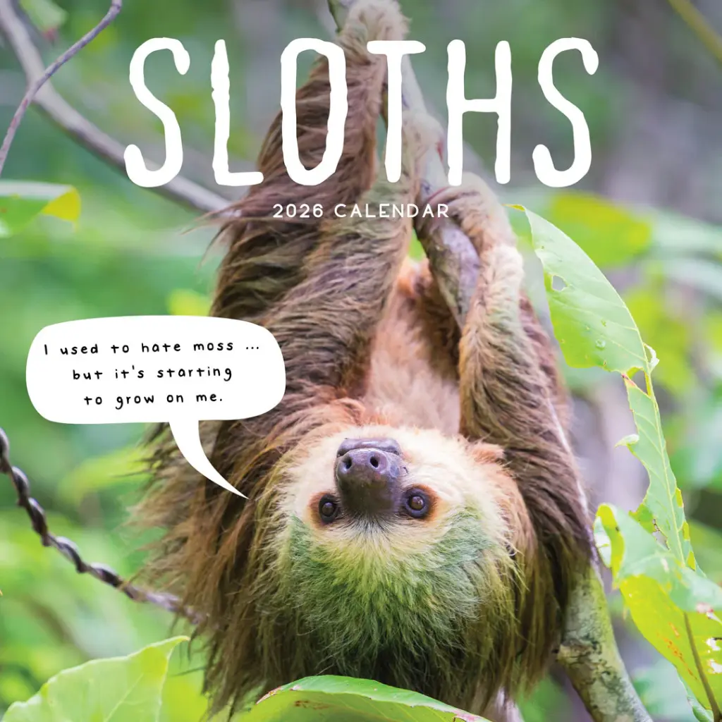 Paper Pocket Sloths 2026 Calendar