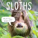 Paper Pocket Sloths 2026 Calendar
