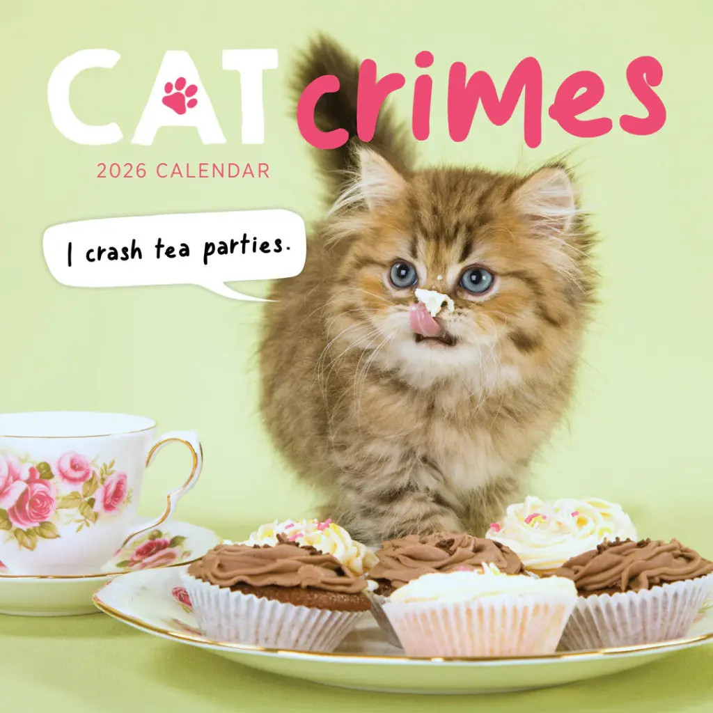 Paper Pocket Cat Crimes 2026 Calendar