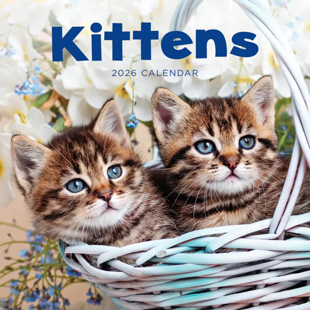 Paper Pocket Kittens 2026 Calendar