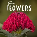 Paper Pocket Our Australia Flowers 2026 Calendar