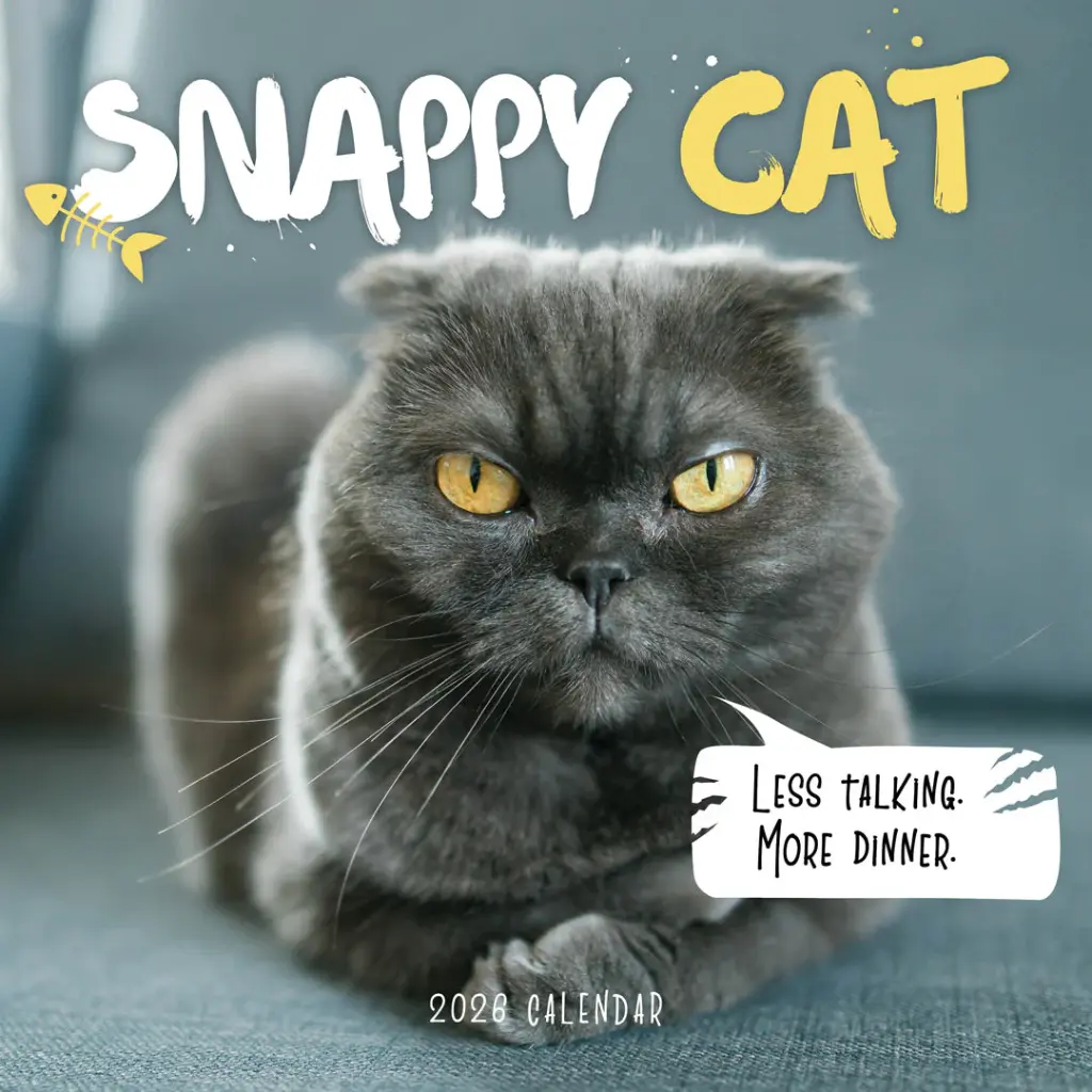 Paper Pocket Snappy Cat 2026 Calendar