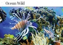 2026 Calendars Ocean Wild - Bartel