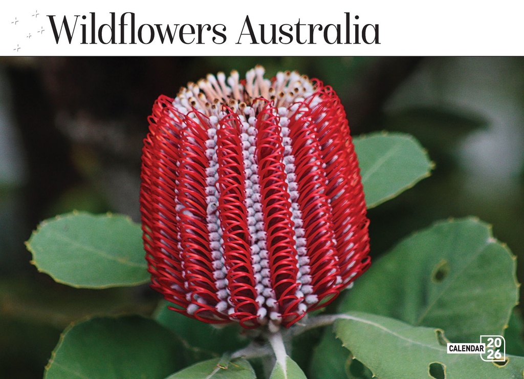 2026 Calendars Wildflowers Australia - Bartel