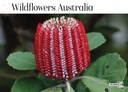 2026 Calendars Wildflowers Australia - Bartel