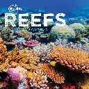 Paper Pocket Our Australia Reefs 2026 Calendar