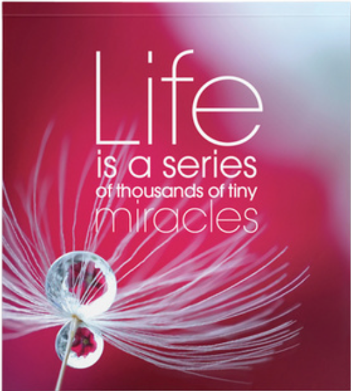 Life Is A Series Of Thousands Of Tiny Miracles Notepad - Affirmations