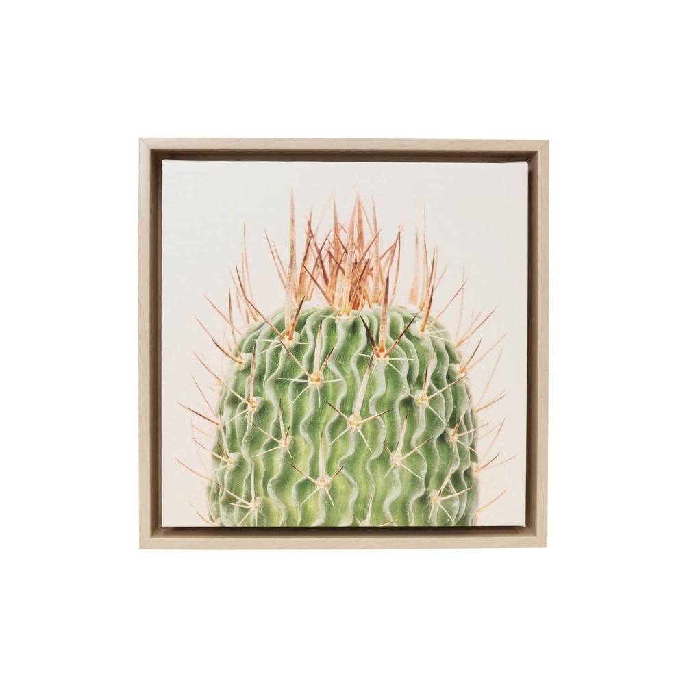 Natural Oasis Spiky Framed Canvas 34x34 - Splosh