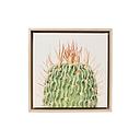 [NTO015A] Natural Oasis Spiky Framed Canvas 34x34 - Splosh