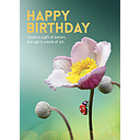 [A88] Gift Of Nature Inspirational Card - Affirmations