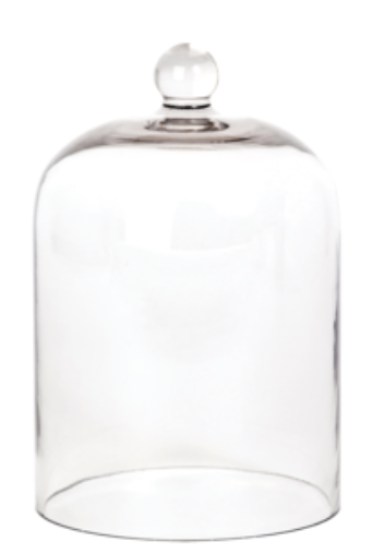 Glass Cloche - Palm Beach Collection