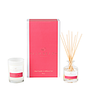 [GPMCDP] Mini Candle & Diffuser Pack - Posy - Palm Beach Collection