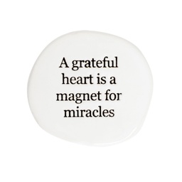 [LFMG006] Miracles Life Magnet - Splosh