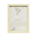 Mystique Framed Print Sagittarius - Splosh