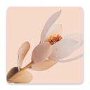 Flourish Pink Flower Ceramic Coaster - Splosh