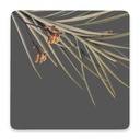 Flourish Spikey Leaf Ceramic Coaster - Splosh