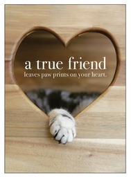 [M89] A True Friend Inspirational Card - Affirmations