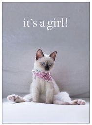 [M95] Kitten Its A Girl Inspirational Card - Affirmations