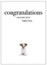 Puppy Congratulations On Your Baby Boy Inspirational Card - Affirmations