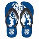 NRL Canterbury-Bankstown Bulldogs Small Thongs