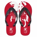 NRL St. George Illawarra Dragons Small Thongs