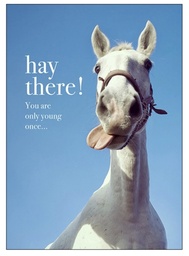 [M85] Horse Birthday Inspirational Card - Affirmations