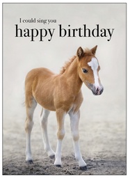[M111] Horse Animal Birthday Inspirational Card - Affirmations