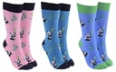 Sock Society - Pandas