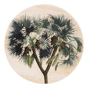 Exotic Yucca Ceramic Coaster - Splosh