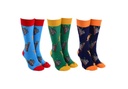 Sock Society - Kangas & Koalas
