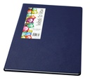 2025 A4 WTV Diary - Becall Casebound Blue