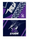 NRL Melbourne Storm Magnet Set